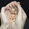 Europejska organizacja apeluje o przegłosowanie inicjatywy "Zatrzymaj Aborcję"