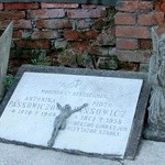 Stary cmentarz w Dębicy