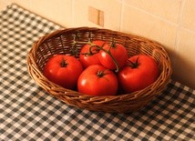 Liście pomidorow więdną? Ogórki też? 