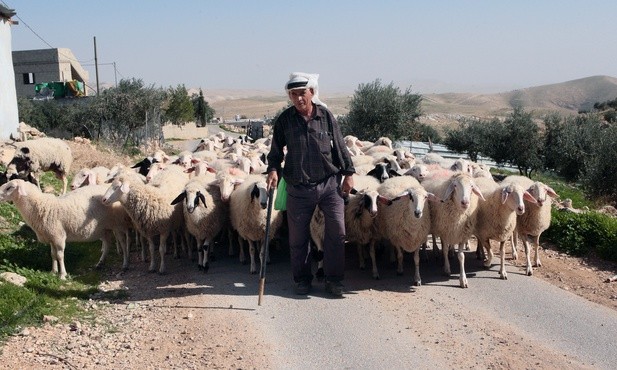 Ja przyszedłem po to, aby owce miały życie i miały je w obfitości (J 10,10)