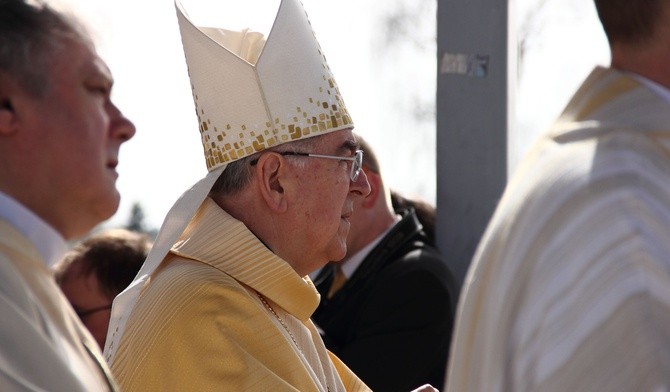Kardynał Ryłko o Bożym miłosierdziu