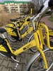 Siemianowice 27 02 2024

Rower miejski wypożyczlnia rowerów

FOTO:HENRYK PRZONDZIONO /FOTO GOŚĆ