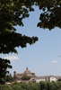 MONTE24062025_HP36.jpg