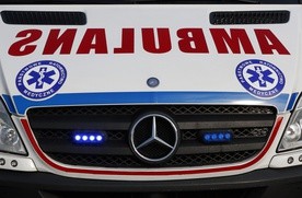 7-letnie dziecko zginęło w aucie, na które spadło drzewo