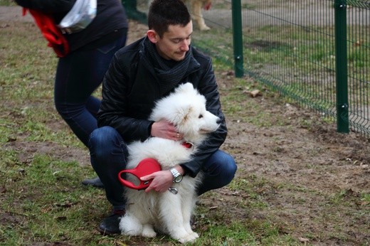 Park dla psów w Elblągu