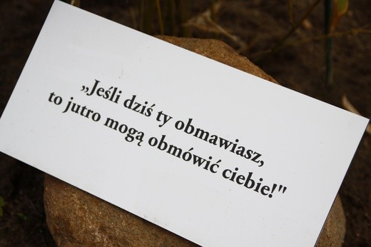 Ogród św. Jana Nepomucena w Lisowicach