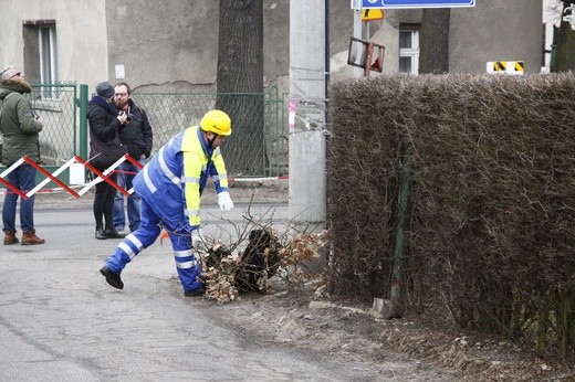 Nowe bocianie gniazdo w Tarnowskich Górach