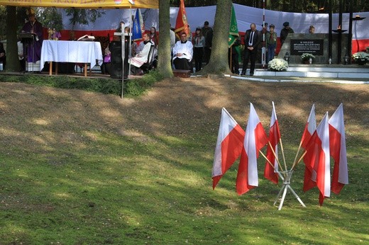 Obchody w lesie skrwileńskim