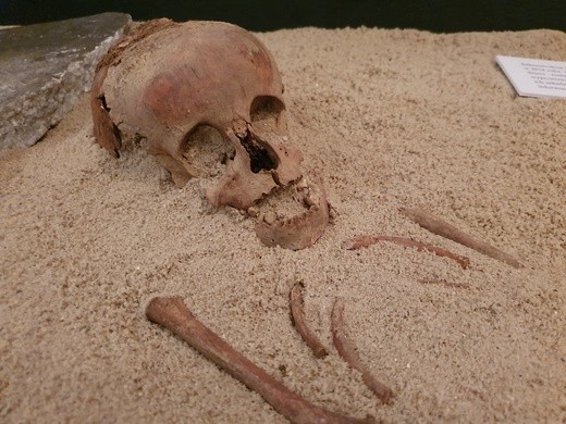 Legendarne Sutuhali? Wystawa w Muzeum Górnośląskim