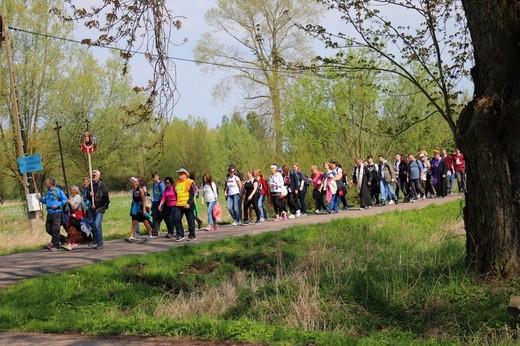 Święty Gaj - uroczystości odpustowe