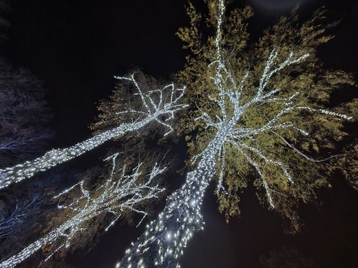 Park Miliona Świateł w Zabrzu