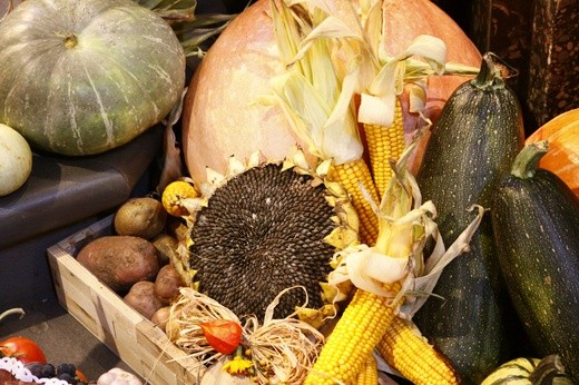 Dożynki w Rudach