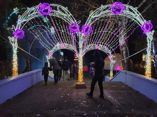 Park Miliona Świateł w Zabrzu