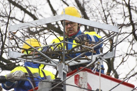 Nowe bocianie gniazdo w Tarnowskich Górach