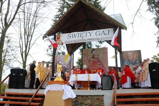 Święty Gaj - uroczystości odpustowe 