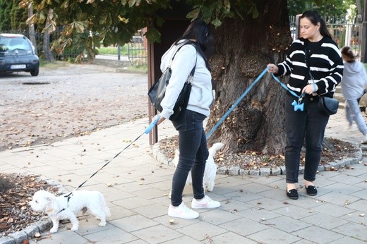 Błogosławieństwo "braci mniejszych" we wspomnienie św. Franciszka