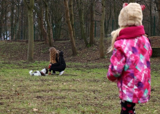 Park dla psów w Elblągu