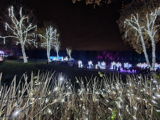 Park Miliona Świateł w Zabrzu