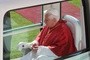 Benedykt XVI zaprzecza zarzutom i przeanalizuje raport monachijskiej kancelarii prawnej
