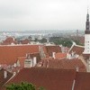Tallin