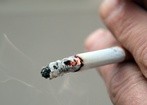 Domowe powierzchnie gromadzą toksyny