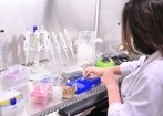Wirusy eliminujące bakterie jako sprzymierzeńcy w walce z rakiem