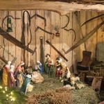Płock. Szopka bożonarodzeniowa w parafii pw. Świętego Krzyża