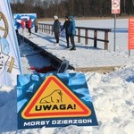 Morsy nad Jeziorem Korsuń