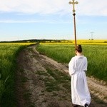 Święty Izydor idzie na pole