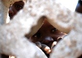 Dziewczynki porwane przez Boko Haram wciąż nieodnalezione