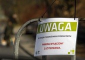 Jakie ograniczenia wprowadzone w związku z koronawirusem mogą zniknąć po majówce?