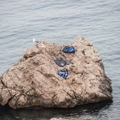 Na migracyjnych szlakach