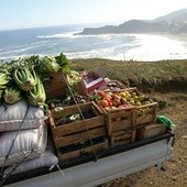 W Chile nad Pacyfikiem