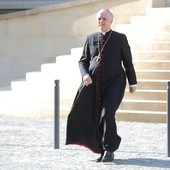 Biskupi poprowadzą nowennę w intencji Ojczyzny