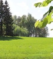 Zdrowie z lasu? Na talerzu!