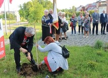 Dąb pamięci Lecha Kaczyńskiego