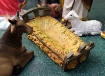 Skradziono figurkę Dzieciątka Jezus ze żłóbka w Brukseli