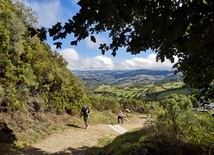 "Caminoza"?"Choroba", na którą warto zapaść