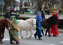 Elbląg. Orszak Trzech Króli