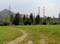 Burmistrz Radlina: mieszkańcy chcą szybkiego ograniczenia emisji pyłów z hałdy kopalni Marcel