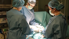 Klauzula sumienia – działa czy nie działa?