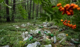 Zachowania zwierząt zmieniają się! My jesteśmy winni