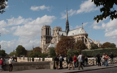 Do odbudowy Notre Dame będą użyte ponadstuletnie dęby; ekolodzy protestują