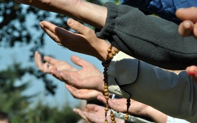 Biskupi skandynawscy wezwali wiernych do modlitwy za Ojca Świętego