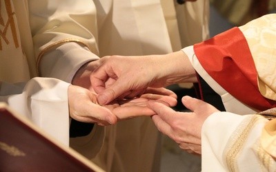 Kard. O'Malley: Synod nie jest „referendum” w sprawie celibatu