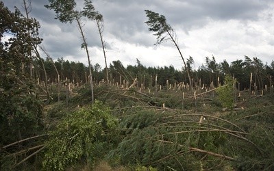 Wiatr wiele może