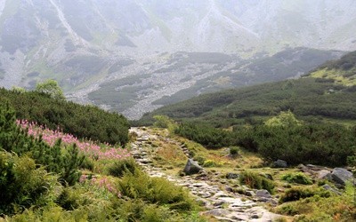 Tatrzański Park Narodowy otwarty od 4 maja