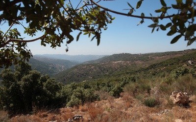 Papież w Libanie i Turcji