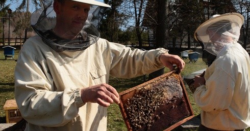 Pszczołom na ratunek