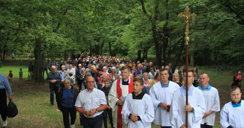 Drogiszka - stąd bliżej do Taboru